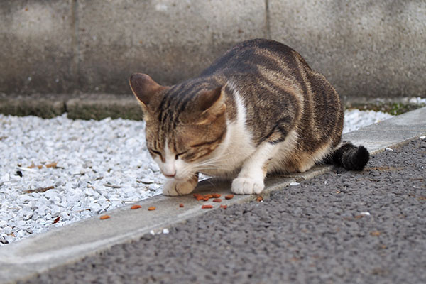 ネオン　端っこで食べる