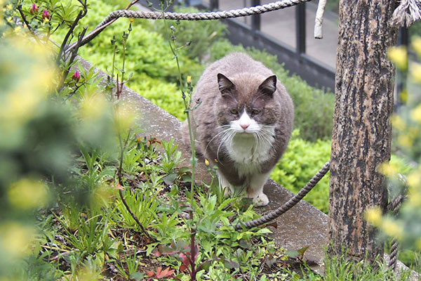 オット　隠れるように