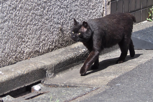 クーロン　人はそんなに怖くない