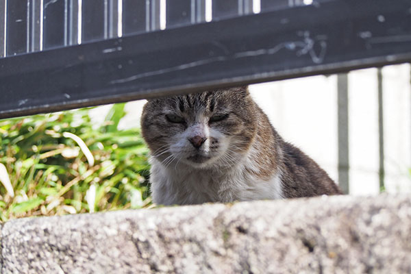 お座りした　もも