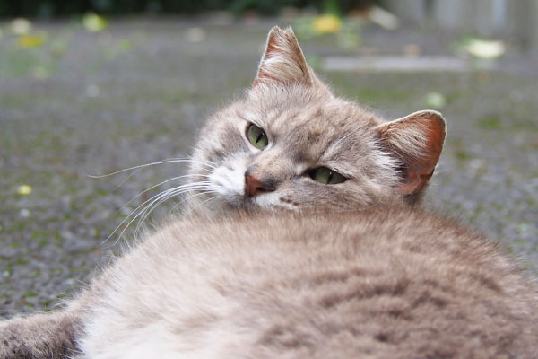 guri face closeup