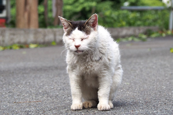 テン　ムクリと起きあがる