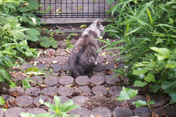 クラタンを追って下へ行ったクロム