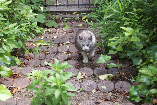 クロム　戻って来た　デジャブ