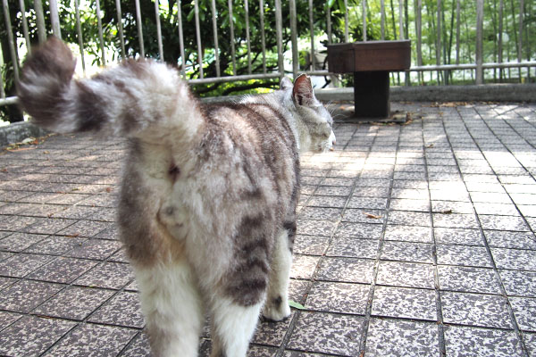 クロム　おちり