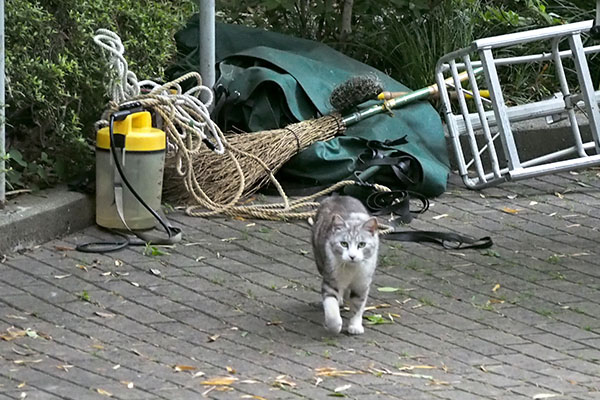 クロム　気が付く