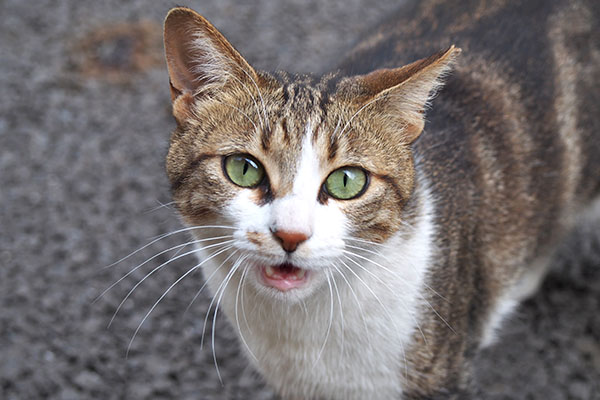 ネオン　優しい顔