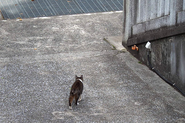 雫　上から　階段の方へ