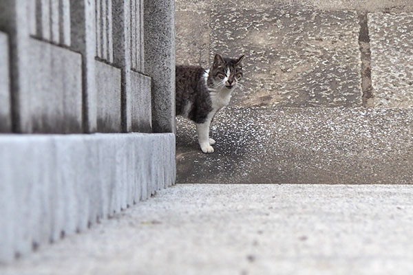 雫　上から　階段下で待つ