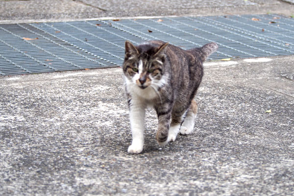 雫　ついて来る