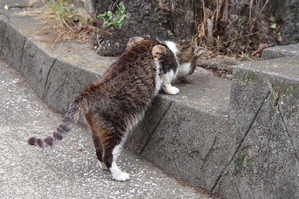 雫　お代わりは立ち食い