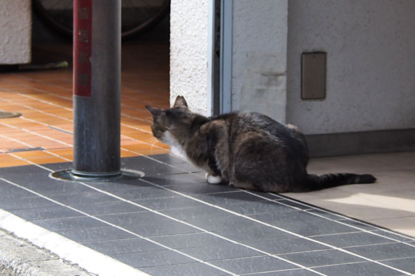 ゆう君　何かを見ている