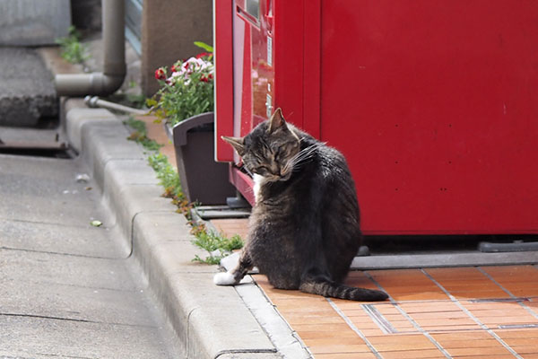 ゆう君　転移行動