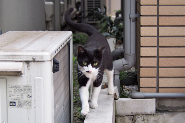 こまち　甘えるように