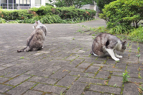 クロムとタンタル　ちょい離れて