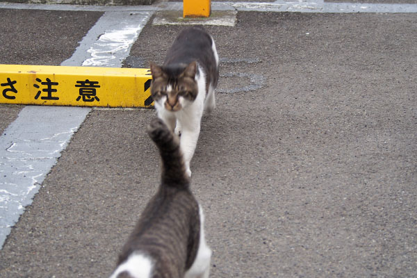 オンブレ　吸い寄せられる様に