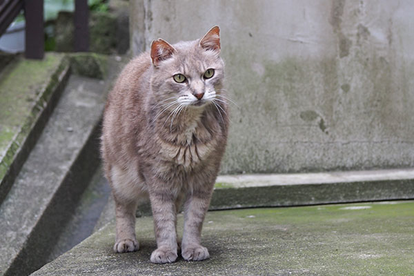 グリ　再び前を見て