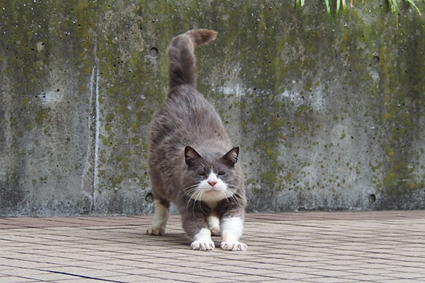 オット　下りて伸び