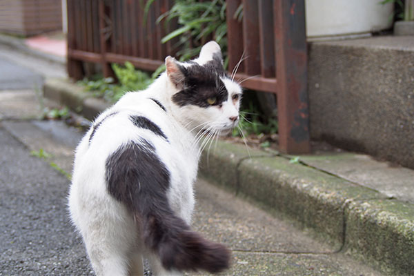 坊　ちょっと気にする