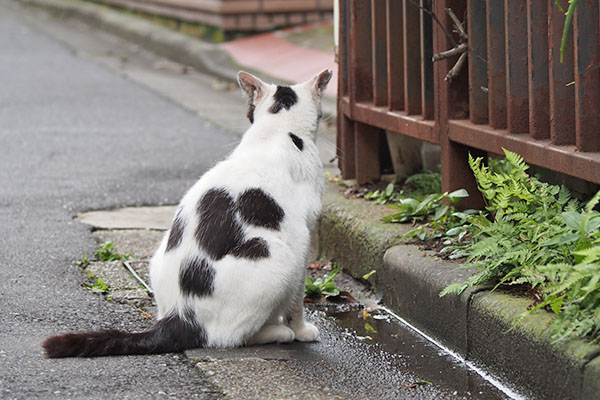 坊　出掛けるのか