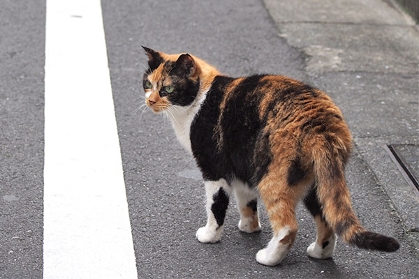 リコ　後ろ姿も素晴らしい