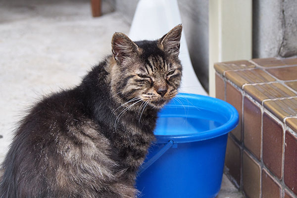 タッチー　お水の前で