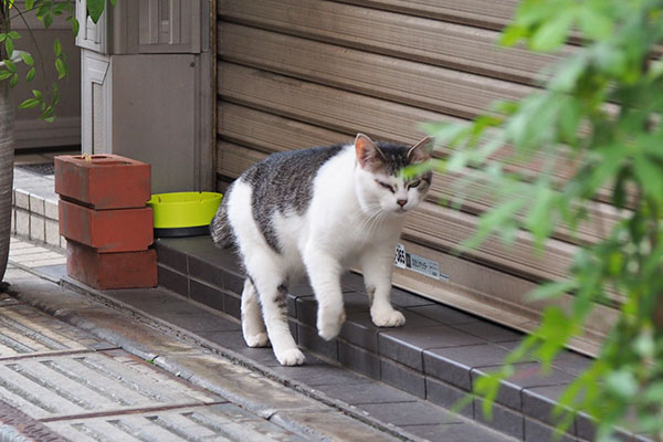 ケイ　ハウスの方へ移動