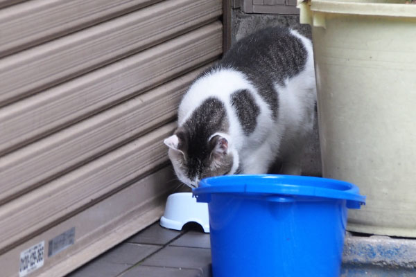 ケイ　また食べてた