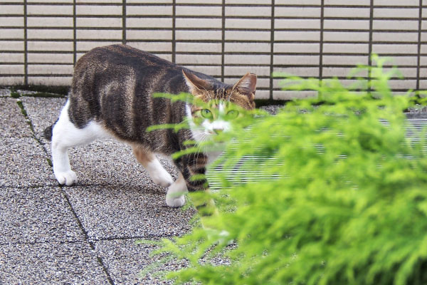 ネオン　下りて来た