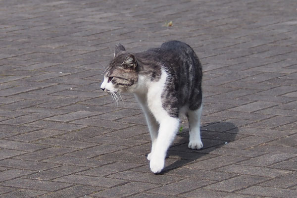 タンタル　周り確認