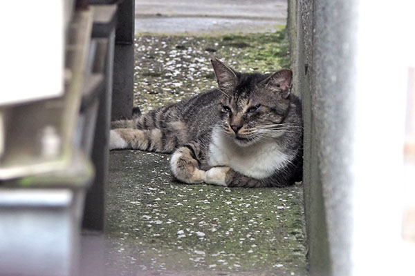 ゆう君　眠くなってる