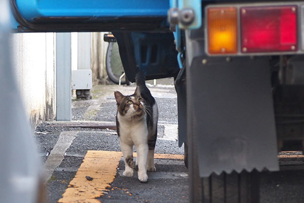 おいたんを見てる　オンブレ