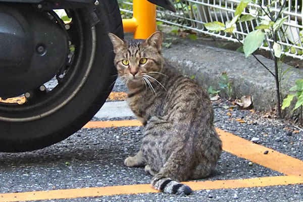 クロス　離れて振り向く２