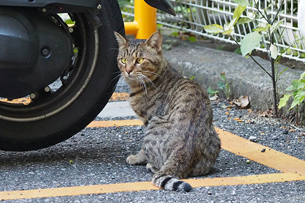 クロス　離れて振り向く