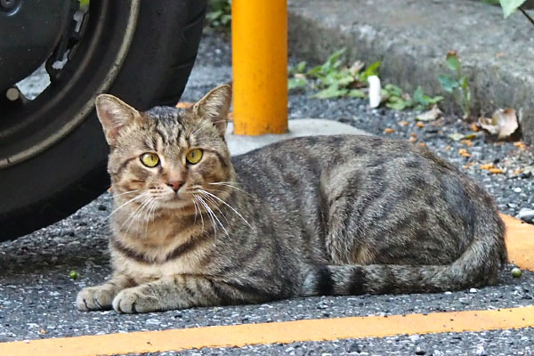 クロス　離れたまましゃがむ