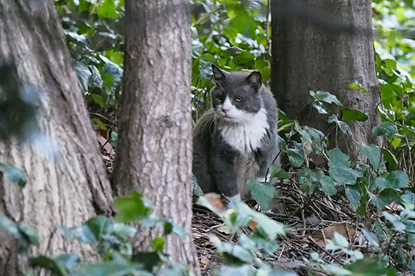 オット　じーっと見る