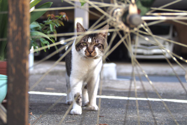 オンブレ　撮るヒトを見る