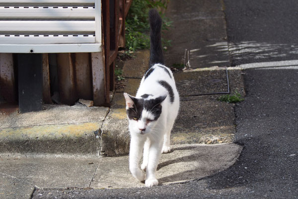 駆け寄る　坊