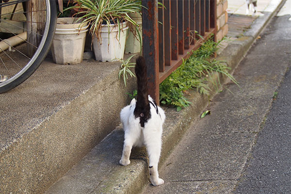 場所変えて　坊　食べる