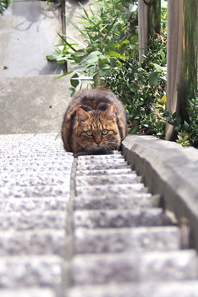 縦　クラタン　休憩なのか