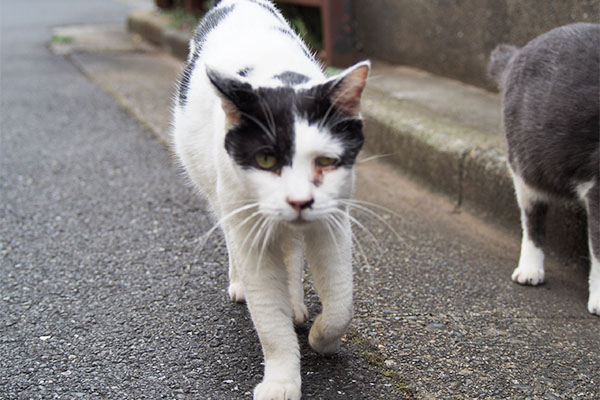 坊　ナデナデに