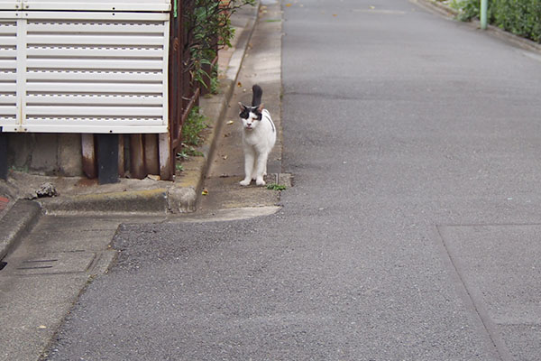 坊　見てる