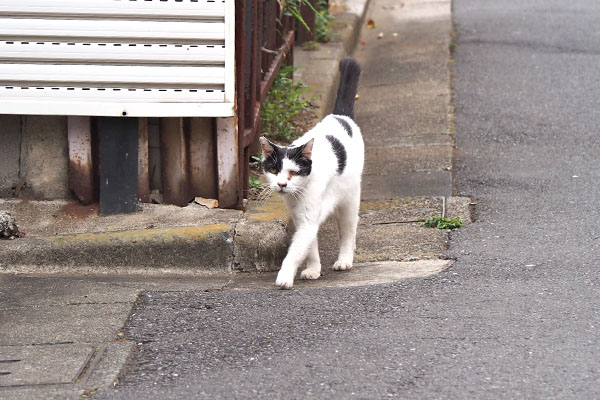 坊　来ちゃう