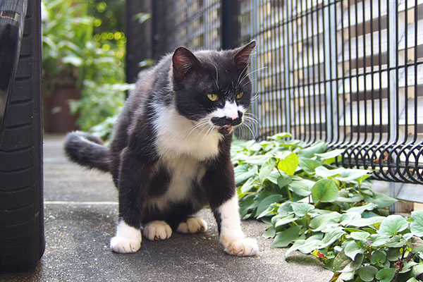 ブッチ　逃げ道確認