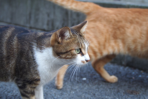 ネオンの横顔