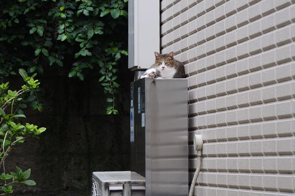 サーヤ　気づく