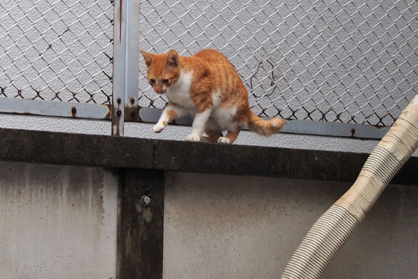 とーま　無事着地