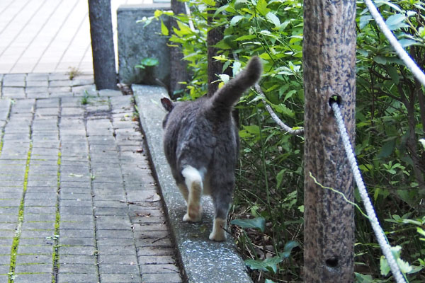 オット　男のコだね