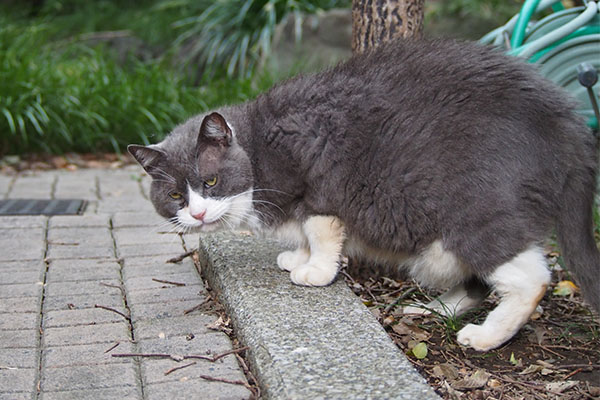 オット　食べ終える