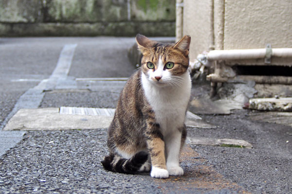 ネオン　いつもの場所を見る